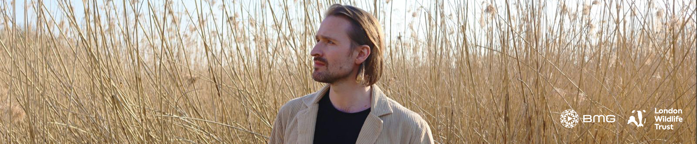 Hayden Thorpe - Wetlands - Header Image 1