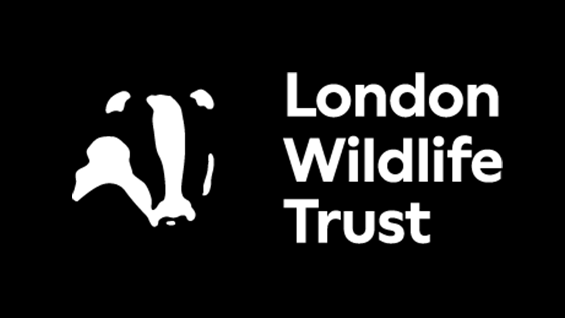 LWT - Logo - White.jpg